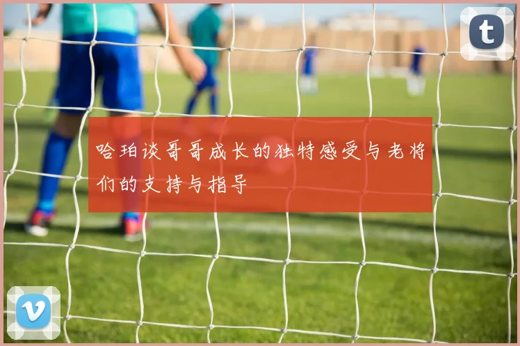 哈珀谈哥哥成长的独特感受与老将们的支持与指导