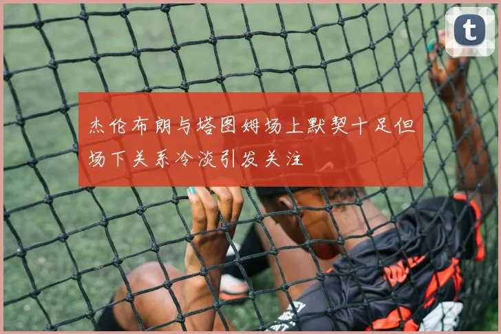 杰伦布朗与塔图姆场上默契十足但场下关系冷淡引发关注